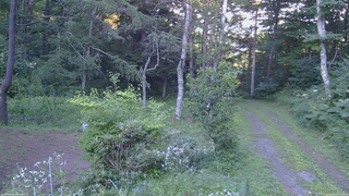 長野県菅平高原 ゆたか山荘 坂上 2026/08/06 17:45