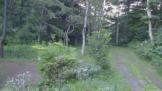 長野県菅平高原 ゆたか山荘 坂上 2026/08/06 18:00