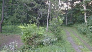 長野県菅平高原 ゆたか山荘 坂上 2026/08/06 18:15