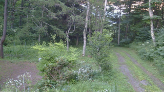 長野県菅平高原 ゆたか山荘 坂上 2026/08/06 18:30
