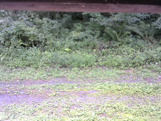 長野県菅平高原 ゆたか山荘 東側(坂下) 2026/08/07 12:00