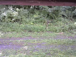 長野県菅平高原 ゆたか山荘 東側(坂下) 2026/08/07 12:45