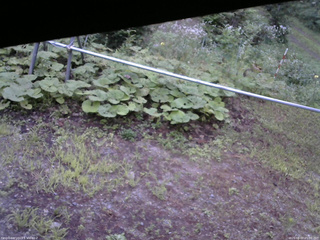 長野県菅平高原 ゆたか山荘 駐車場 2026/08/07 05:00