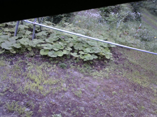長野県菅平高原 ゆたか山荘 駐車場 2026/08/07 05:30