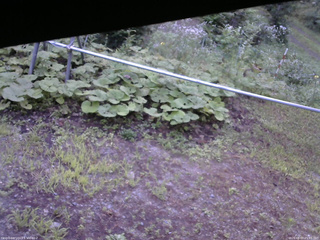 長野県菅平高原 ゆたか山荘 駐車場 2026/08/07 05:45