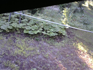 長野県菅平高原 ゆたか山荘 駐車場 2026/08/07 06:00
