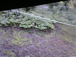 長野県菅平高原 ゆたか山荘 駐車場 2026/08/07 06:15