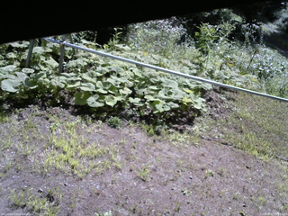長野県菅平高原 ゆたか山荘 駐車場 2026/08/07 09:15