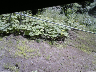 長野県菅平高原 ゆたか山荘 駐車場 2026/08/07 09:45