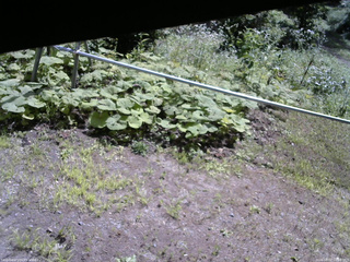 長野県菅平高原 ゆたか山荘 駐車場 2026/08/07 10:00