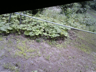 長野県菅平高原 ゆたか山荘 駐車場 2026/08/07 10:15