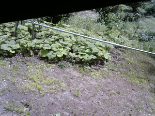 長野県菅平高原 ゆたか山荘 駐車場 2026/08/07 10:30