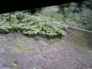 長野県菅平高原 ゆたか山荘 駐車場 2026/08/07 11:00