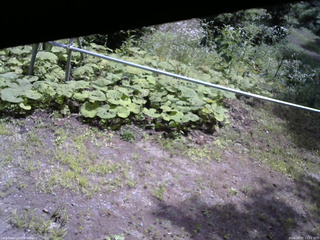 長野県菅平高原 ゆたか山荘 駐車場 2026/08/07 11:15