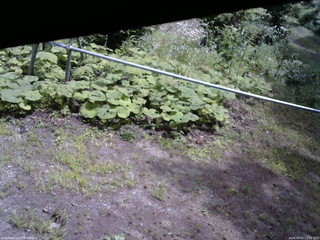 長野県菅平高原 ゆたか山荘 駐車場 2026/08/07 11:30