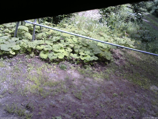 長野県菅平高原 ゆたか山荘 駐車場 2026/08/07 12:00