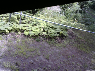 長野県菅平高原 ゆたか山荘 駐車場 2026/08/07 12:15