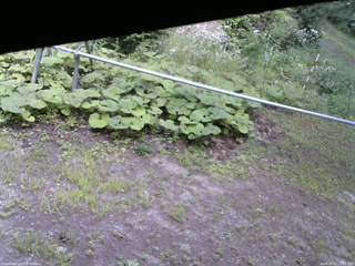 長野県菅平高原 ゆたか山荘 駐車場 2026/08/07 13:30