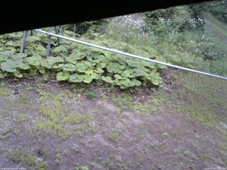 長野県菅平高原 ゆたか山荘 駐車場 2026/08/07 14:00