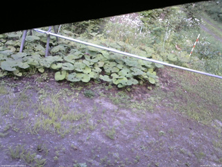 長野県菅平高原 ゆたか山荘 駐車場 2026/08/07 15:30