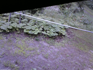長野県菅平高原 ゆたか山荘 駐車場 2026/08/07 17:30
