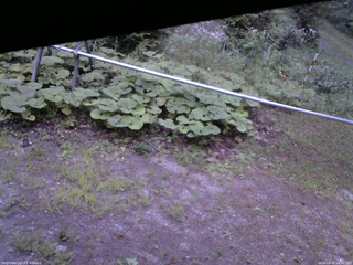 長野県菅平高原 ゆたか山荘 駐車場 2026/08/07 18:30