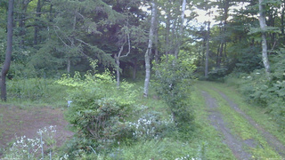 長野県菅平高原 ゆたか山荘 坂上 2026/08/07 05:15