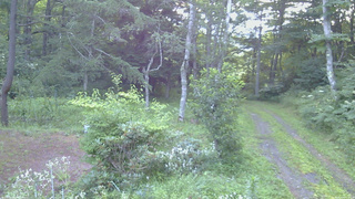 長野県菅平高原 ゆたか山荘 坂上 2026/08/07 05:30