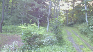 長野県菅平高原 ゆたか山荘 坂上 2026/08/07 05:45