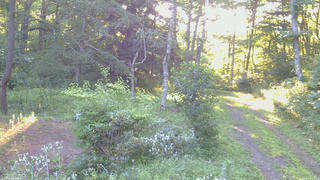 長野県菅平高原 ゆたか山荘 坂上 2026/08/07 06:00