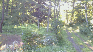 長野県菅平高原 ゆたか山荘 坂上 2026/08/07 06:30