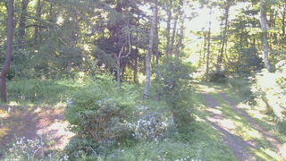 長野県菅平高原 ゆたか山荘 坂上 2026/08/07 06:45