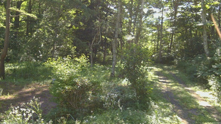 長野県菅平高原 ゆたか山荘 坂上 2026/08/07 08:15