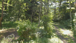長野県菅平高原 ゆたか山荘 坂上 2026/08/07 08:30