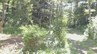 長野県菅平高原 ゆたか山荘 坂上 2026/08/07 09:00