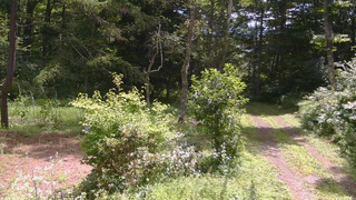 長野県菅平高原 ゆたか山荘 坂上 2026/08/07 10:30