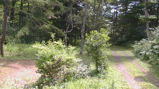長野県菅平高原 ゆたか山荘 坂上 2026/08/07 10:45