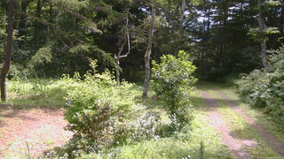 長野県菅平高原 ゆたか山荘 坂上 2026/08/07 11:00