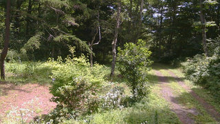 長野県菅平高原 ゆたか山荘 坂上 2026/08/07 11:15