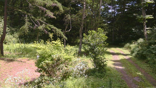 長野県菅平高原 ゆたか山荘 坂上 2026/08/07 12:00