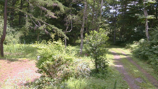 長野県菅平高原 ゆたか山荘 坂上 2026/08/07 12:15