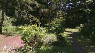 長野県菅平高原 ゆたか山荘 坂上 2026/08/07 12:30