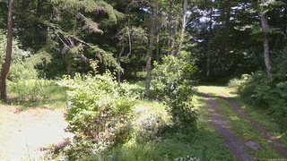 長野県菅平高原 ゆたか山荘 坂上 2026/08/07 12:45