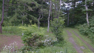 長野県菅平高原 ゆたか山荘 坂上 2026/08/07 14:00