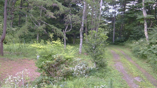 長野県菅平高原 ゆたか山荘 坂上 2026/08/07 14:15