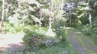 長野県菅平高原 ゆたか山荘 坂上 2026/08/07 14:30