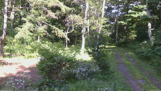 長野県菅平高原 ゆたか山荘 坂上 2026/08/07 14:45