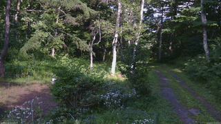 長野県菅平高原 ゆたか山荘 坂上 2026/08/07 15:00