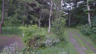 長野県菅平高原 ゆたか山荘 坂上 2026/08/07 15:30