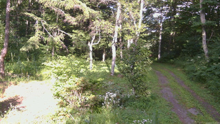 長野県菅平高原 ゆたか山荘 坂上 2026/08/07 15:45